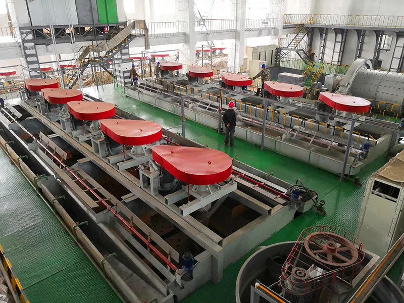 Cellule di flottazione meccanica autospirata per granulo grossolano